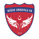 Niğde Anadolu