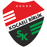 Körfez Spor