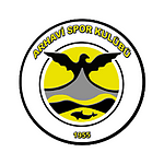 Arhavispor